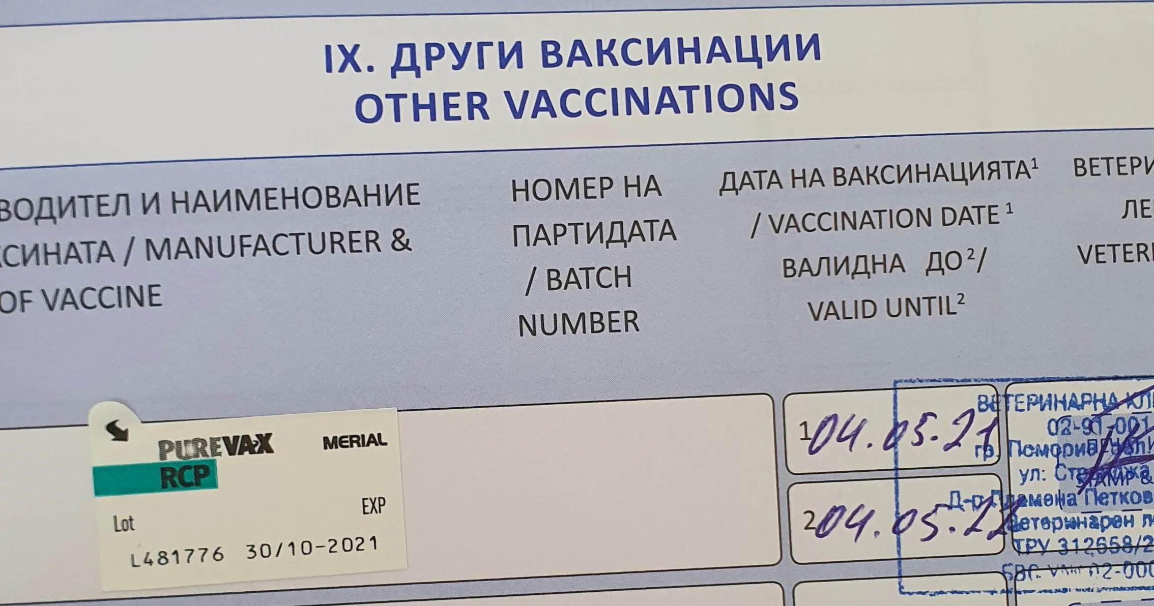 Вакцинация кошек от распространенных заболеваний