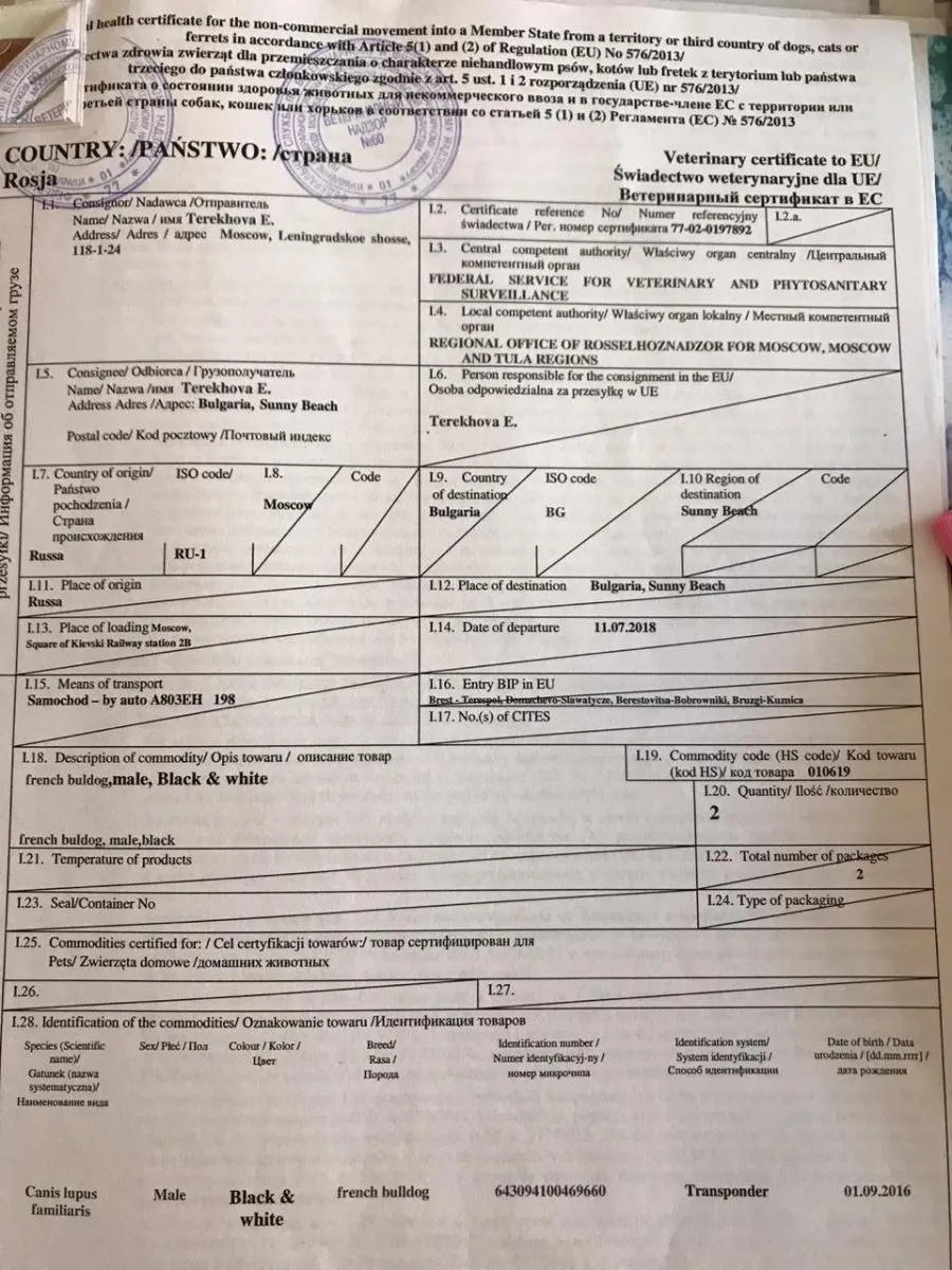 Документ о провозе животного заграницу на польском языке