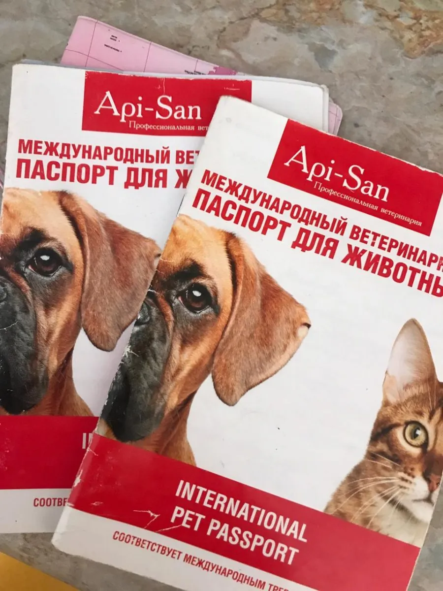 Международный ветеринарный паспорт