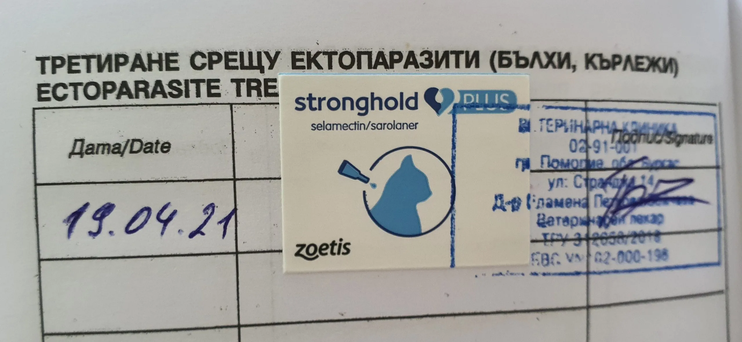 Обработка кошки каплями от паразитов
