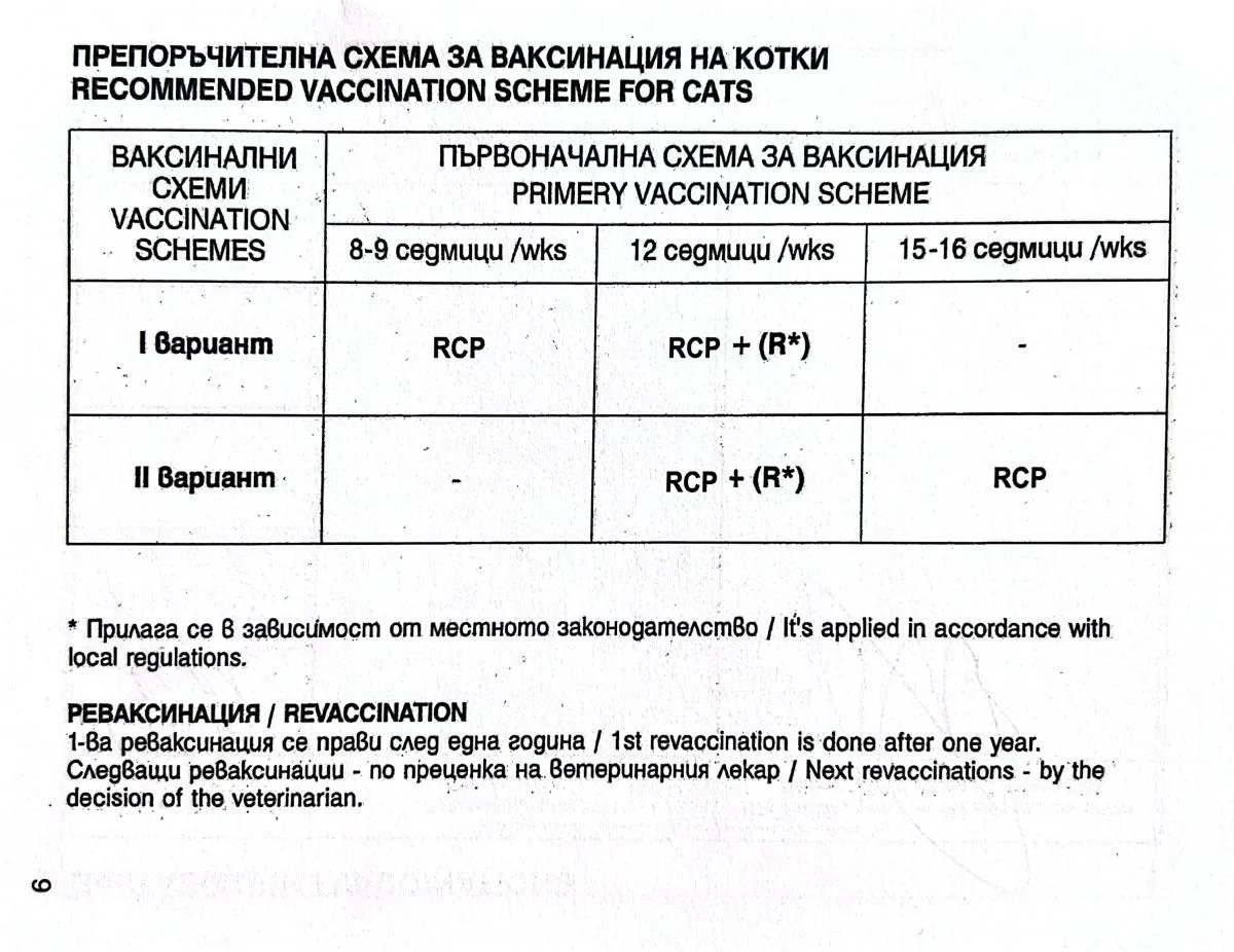 Схема вакцинации кошек в Болгарии