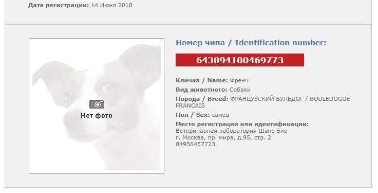 Информация о чипированном животном из единой общероссийской базы