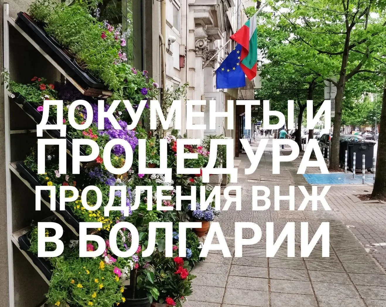 Первый визит в миграцию для продления ВНЖ. Пакет документов для торговых представителей и членов семьи