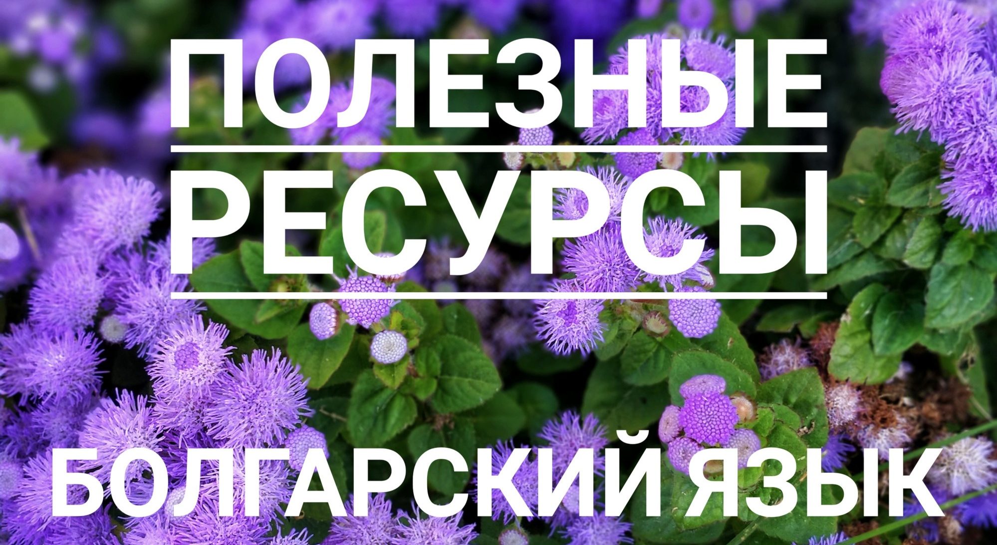 Полезные ресурсы и лайфхаки для изучения болгарского языка - МНОГО БУКВ О  РАЗНОМ :)