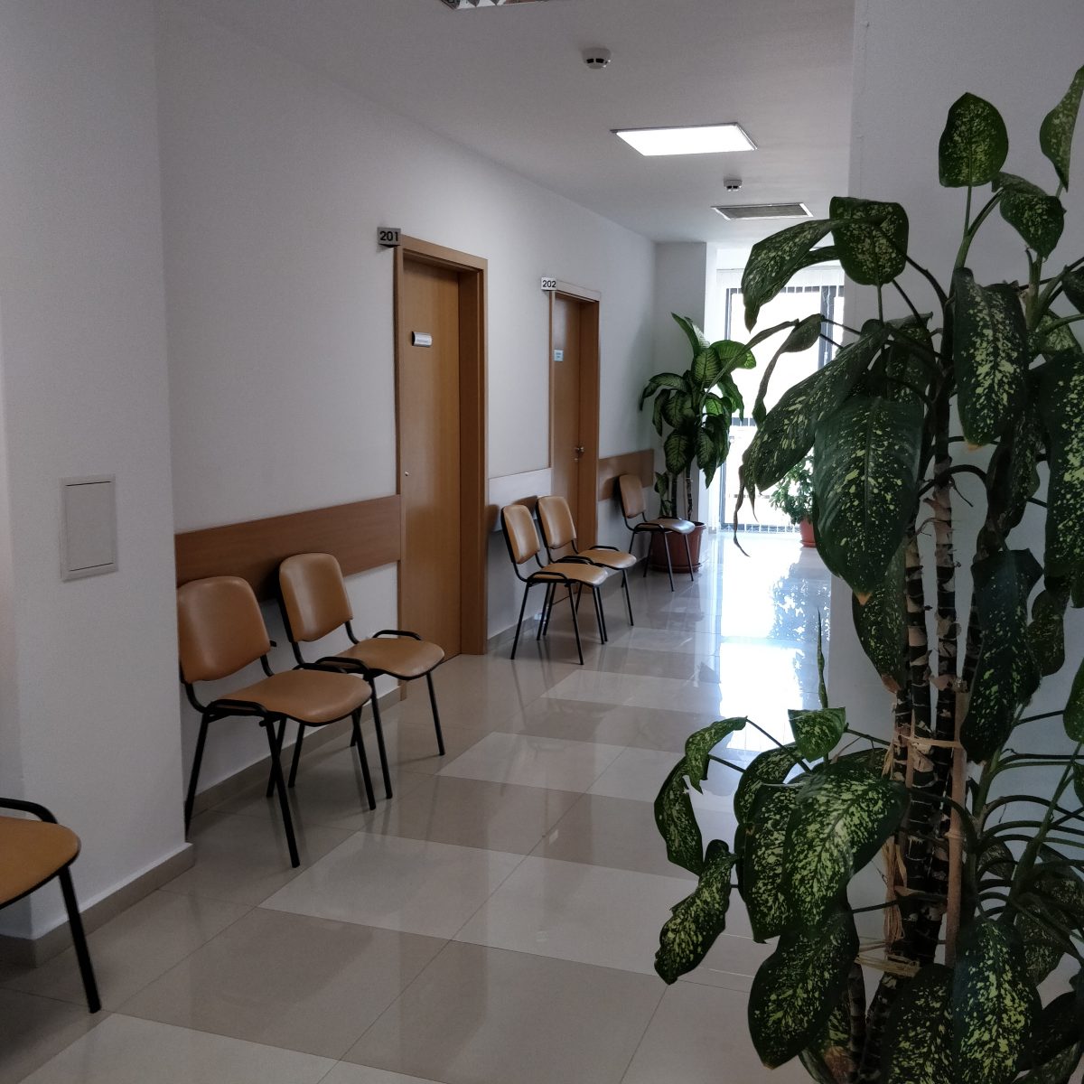 Частная больница Вива Клиника на Солнечном берегу
