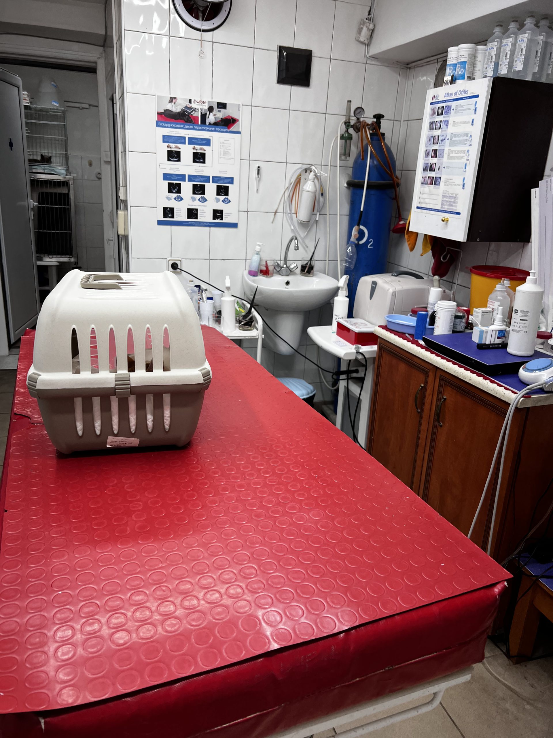 Оборудование в ветеринарных больницах в Болгарии