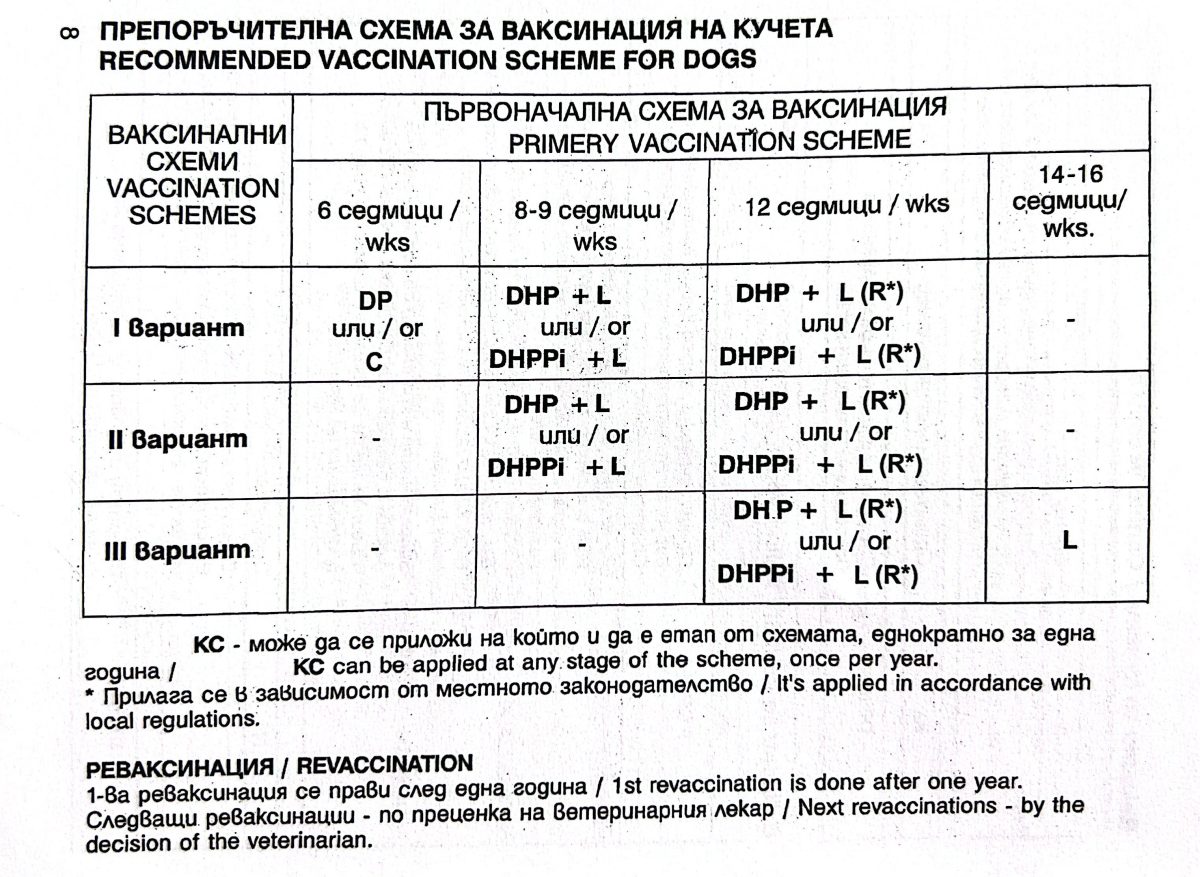 Схема вакцинации собак в Болгарии
